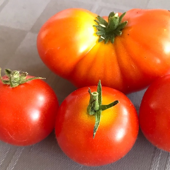 Meet your Posher, S - Picture 1 of 1